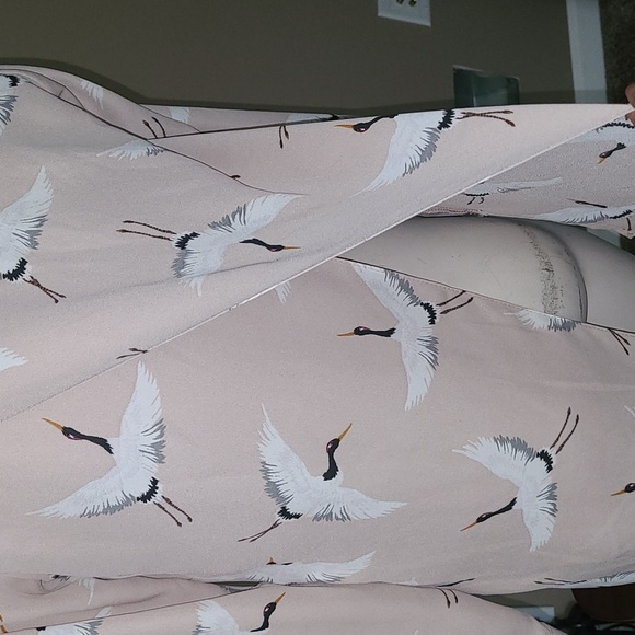 Zara Sheer Button Down - Picture 6 of 9